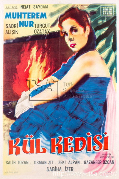 Póster de Kül kedisi