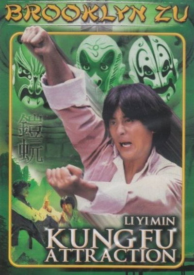 Póster de Kung Fu Attraction