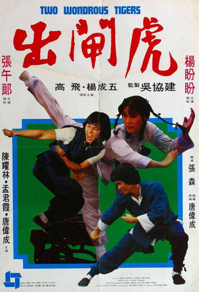 Póster de Kung-Fu Boxer