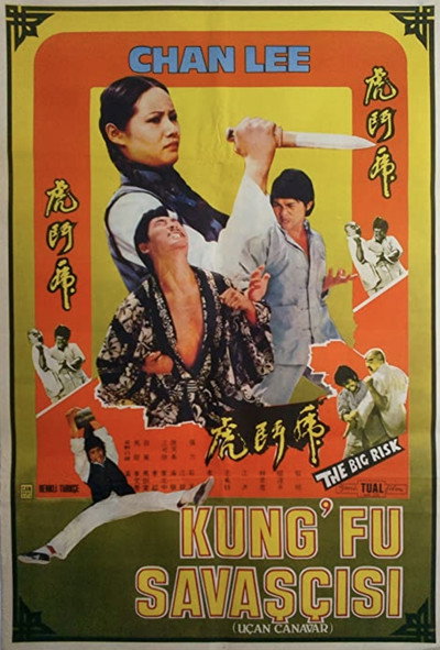 Póster de Kung Fu Conspiracy