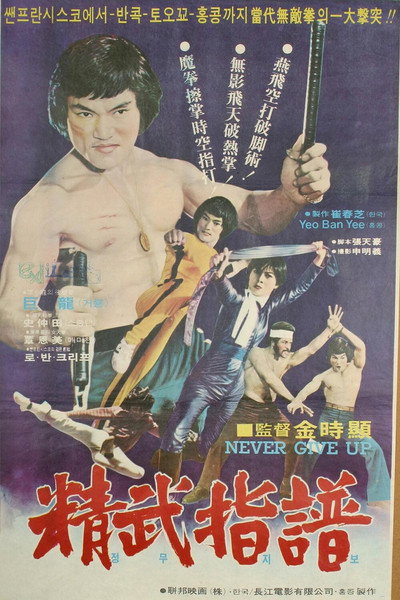 Póster de Kung Fu Fever