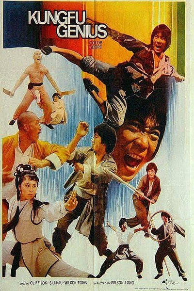 Póster de Kung Fu Genius