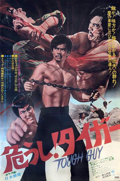 Póster de Kung Fu Master: Bruce Lee Style