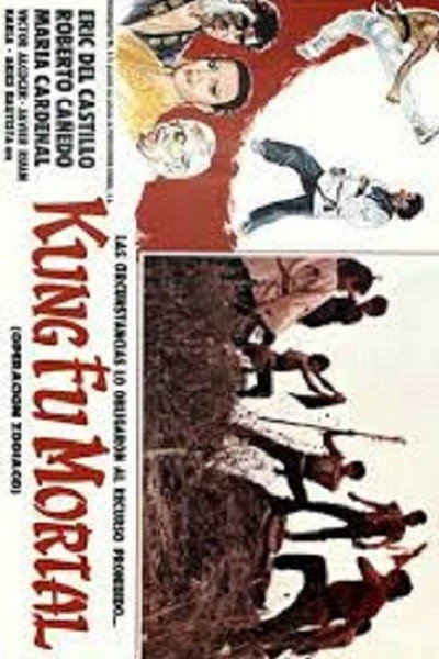 Póster de Kung fu mortal: Operación zodiaco