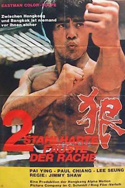 Póster de Kung Fu-ry