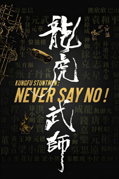 Póster de Kung Fu Stuntmen