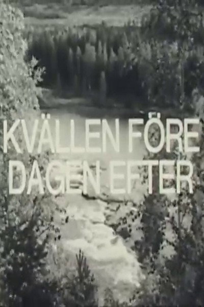 Póster de Kvällen före dagen efter
