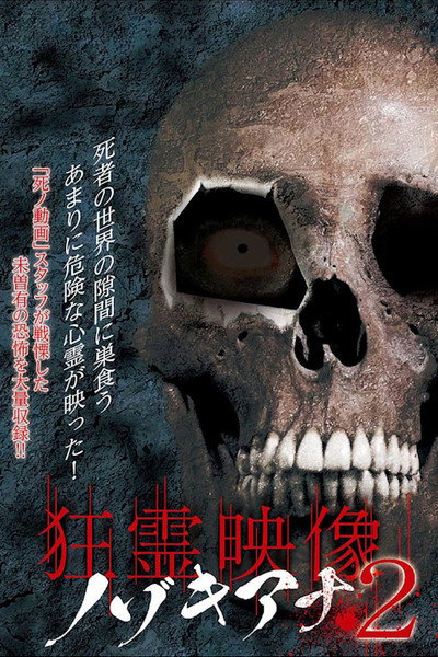 Póster de Kyourei Video Nozokiana 2