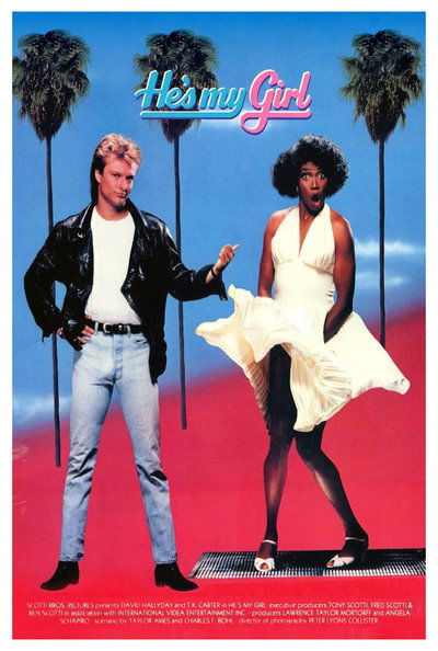 Póster de Él es mi chica