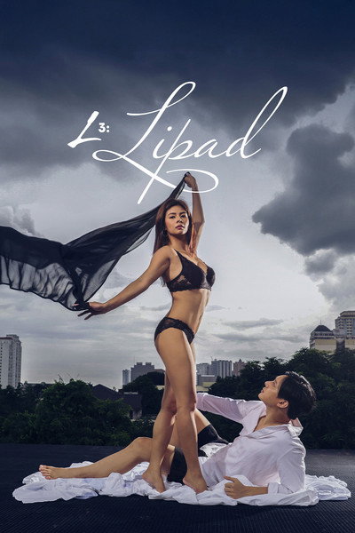 Póster de L3: To Fly