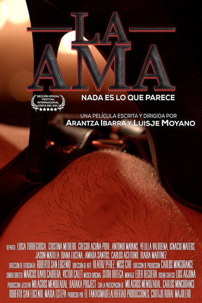 Póster de La ama