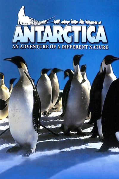 Póster de La Antártida