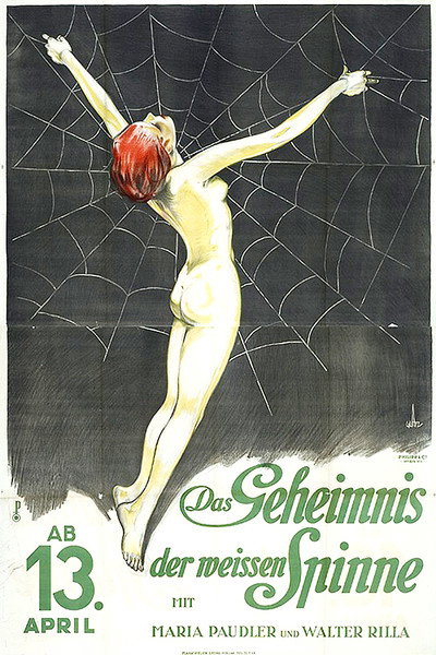 Póster de La araña blanca