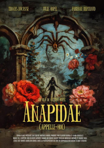 Póster de La araña (Llámame)