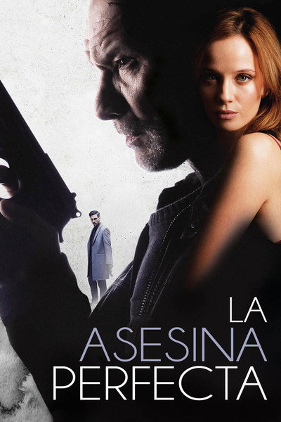 Póster de La asesina perfecta