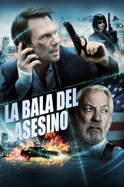 Póster de La bala del asesino