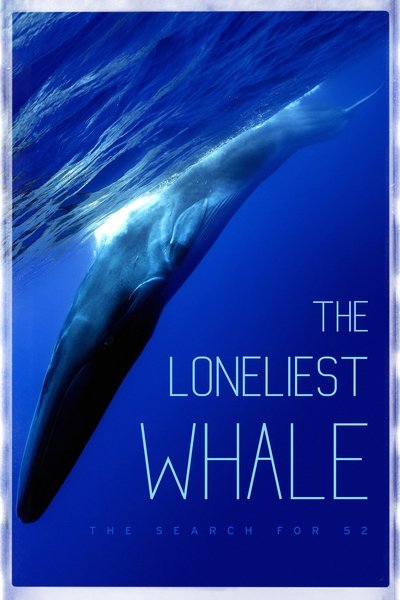 Póster de La balena solitària