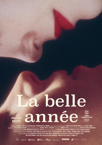 Póster de La belle année