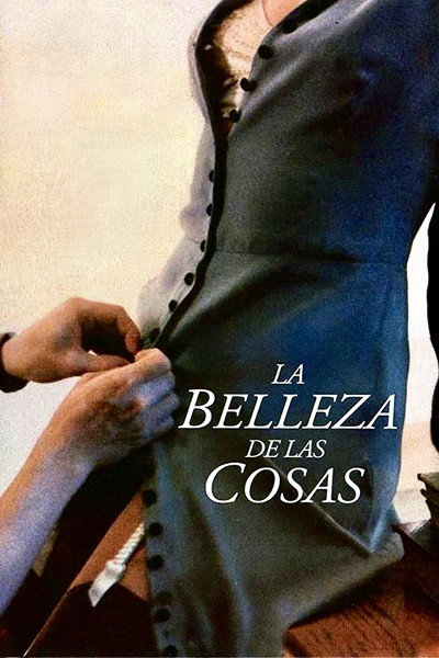 Póster de La belleza de las cosas