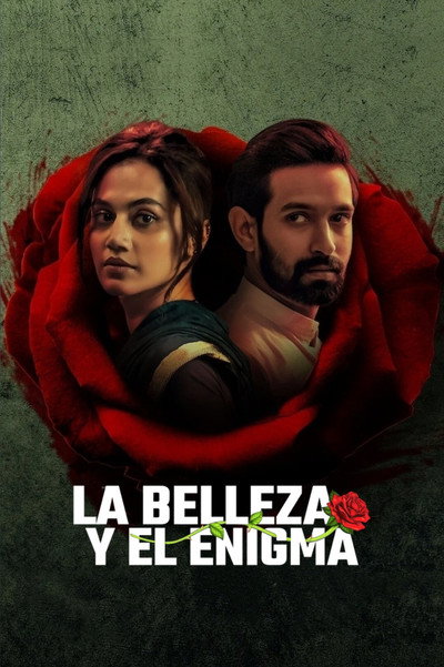 Póster de La belleza y el enigma