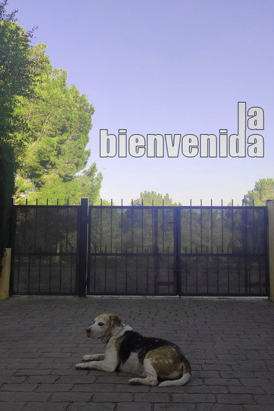 Póster de La bienvenida