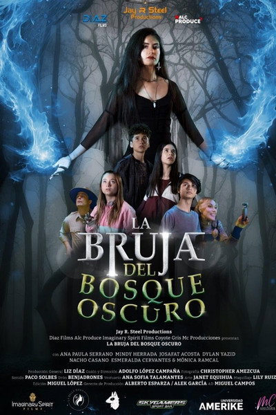 Póster de La bruja del bosque oscuro