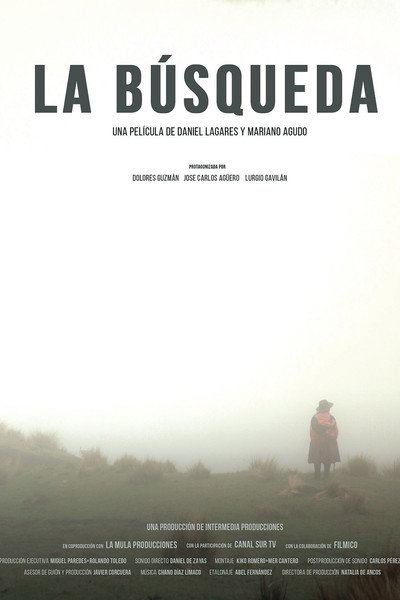 Póster de La búsqueda
