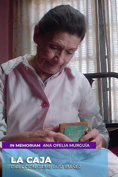 Póster de La caja