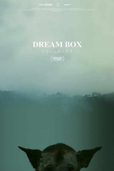 Póster de La caja de los sueños