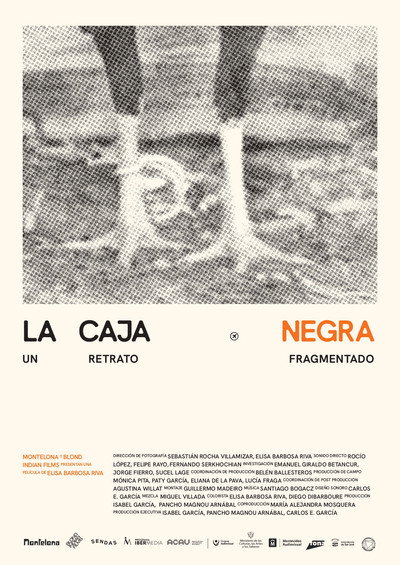 Póster de La caja negra