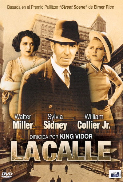 Póster de La calle