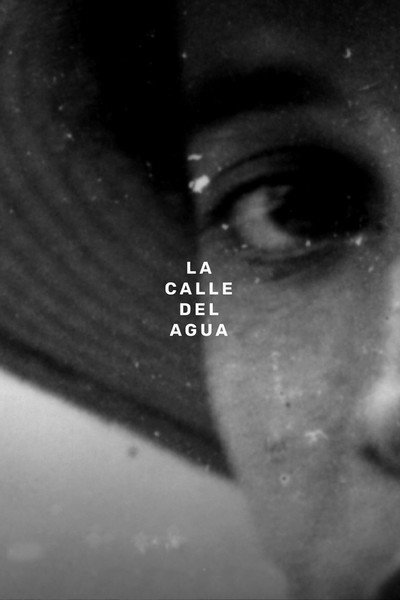 Póster de La calle del agua