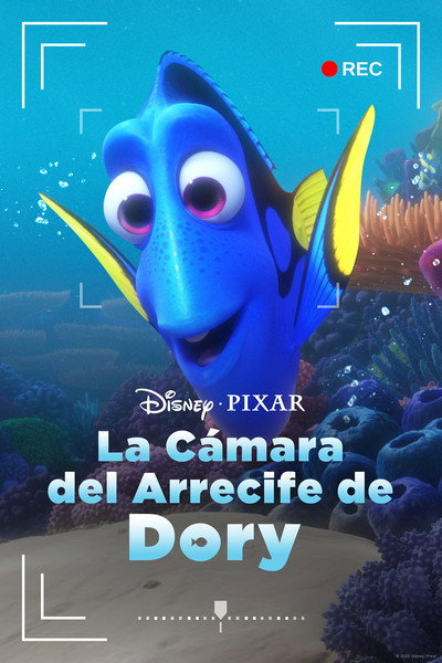 Póster de La cámara del arrecife de Dory