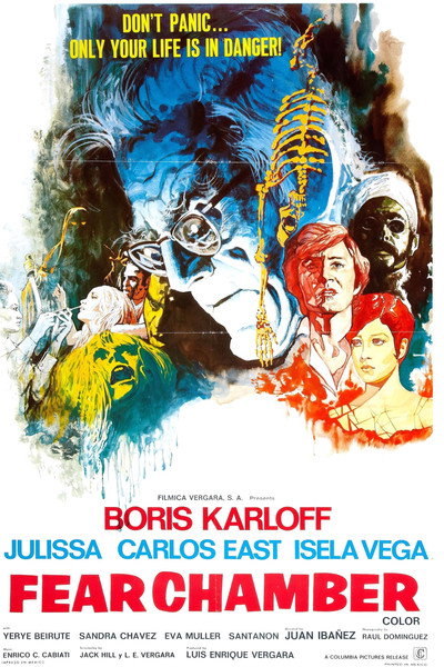 Póster de La cámara del terror