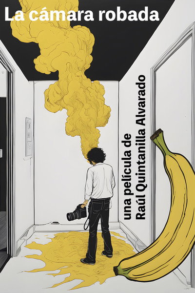 Póster de La Cámara Robada