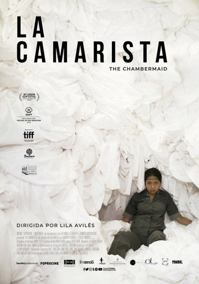 Póster de La camarista