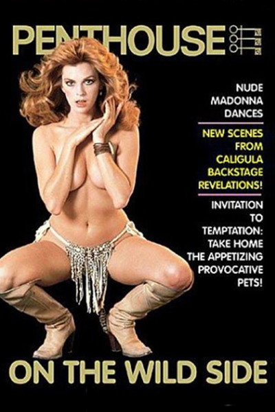 Póster de La cara salvaje de Penthouse