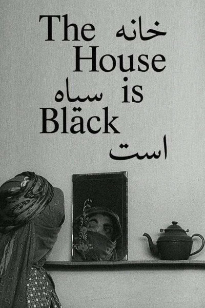 Póster de La casa es negra