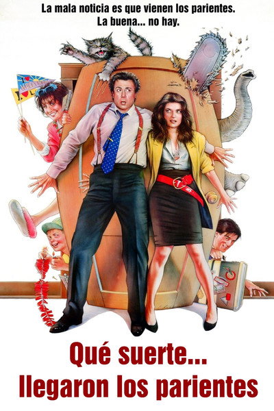 Póster de La casa loca