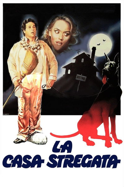 Póster de La casa stregata