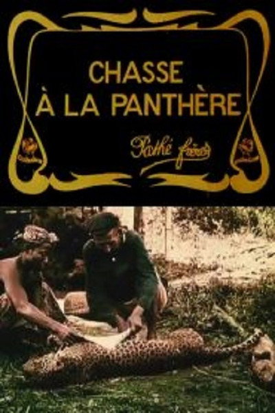 Póster de La caza de la pantera