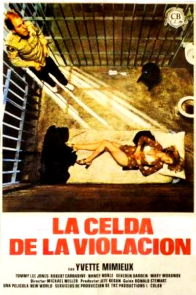 Póster de La celda de la violación