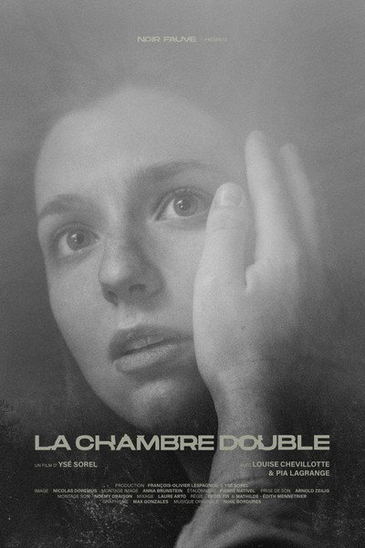 Póster de La chambre double