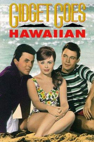 Póster de La coquetona en Hawai