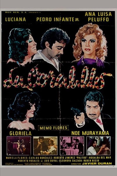 Póster de La coralillo