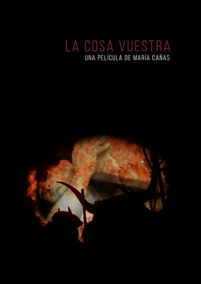 Póster de La Cosa Vuestra