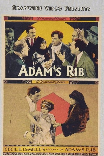 Póster de La Costilla de Adán