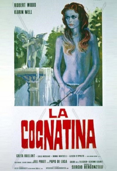 Póster de La cuñadita