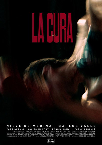 Póster de La cura