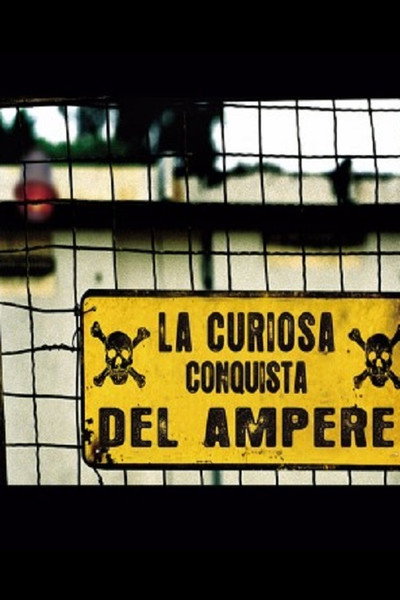 Póster de La curiosa conquista del ampere